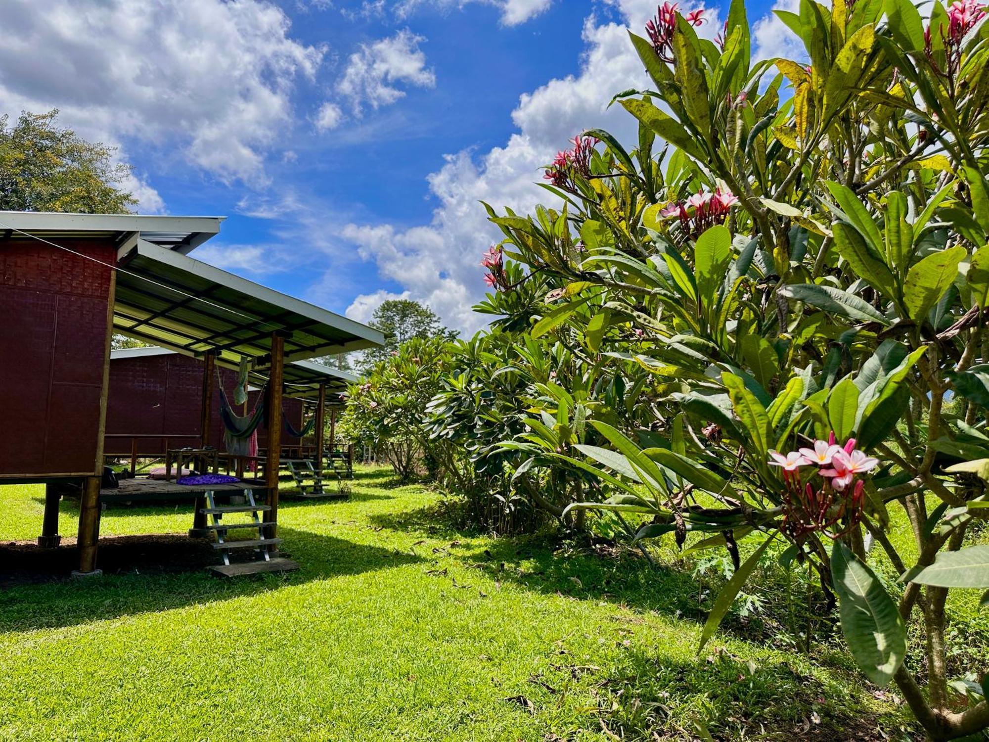 Twin Hut Hotel Pai Exterior foto